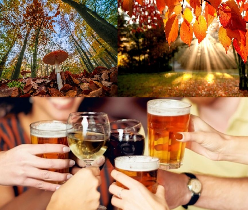 Herfstborrel