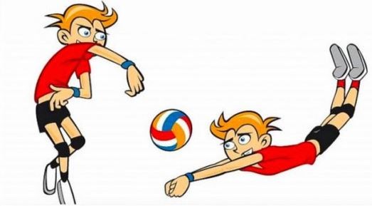 Volleybal